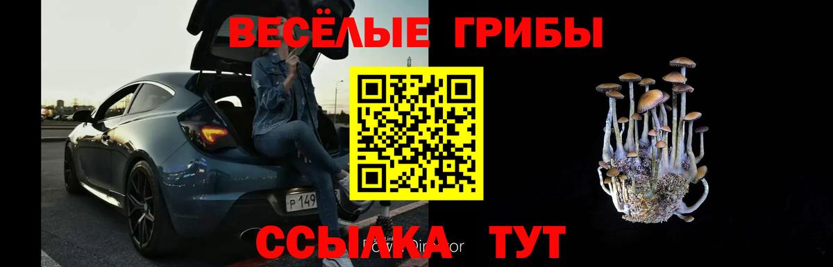магазин продажи   Псилоцибиновые грибы ЛСД  Вход с VPN  Сургут 